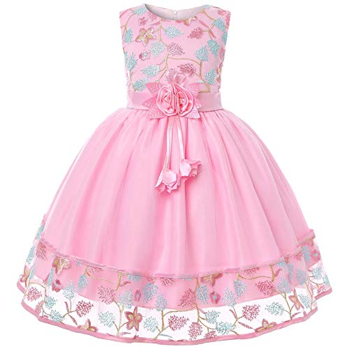 Toddle Dresses Flower Lace Embroidery Big Girl Princess Wedding Gown Elegant Dress for Birthday Party High-grade 2-10Years