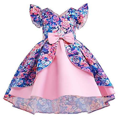 Flower Girl Dresses for Wedding Birthday Pageant Tea Party Ruffles Layered Floral Formal Dresses 2-10Years